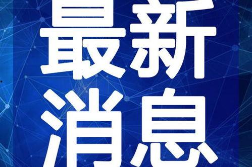 新疆明星爆料新闻视频最新,揭秘幕后的惊人真相！